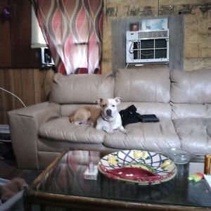 Meet your Posher, Andera